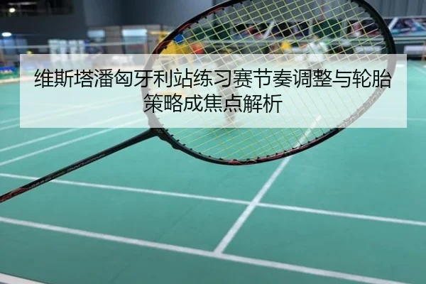 维斯塔潘匈牙利站练习赛节奏调整与轮胎策略成焦点解析