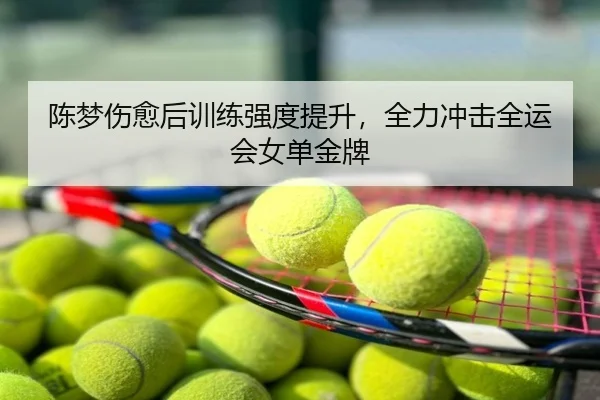 陈梦伤愈后训练强度提升，全力冲击全运会女单金牌