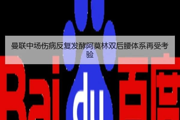 曼联中场伤病反复发酵阿莫林双后腰体系再受考验